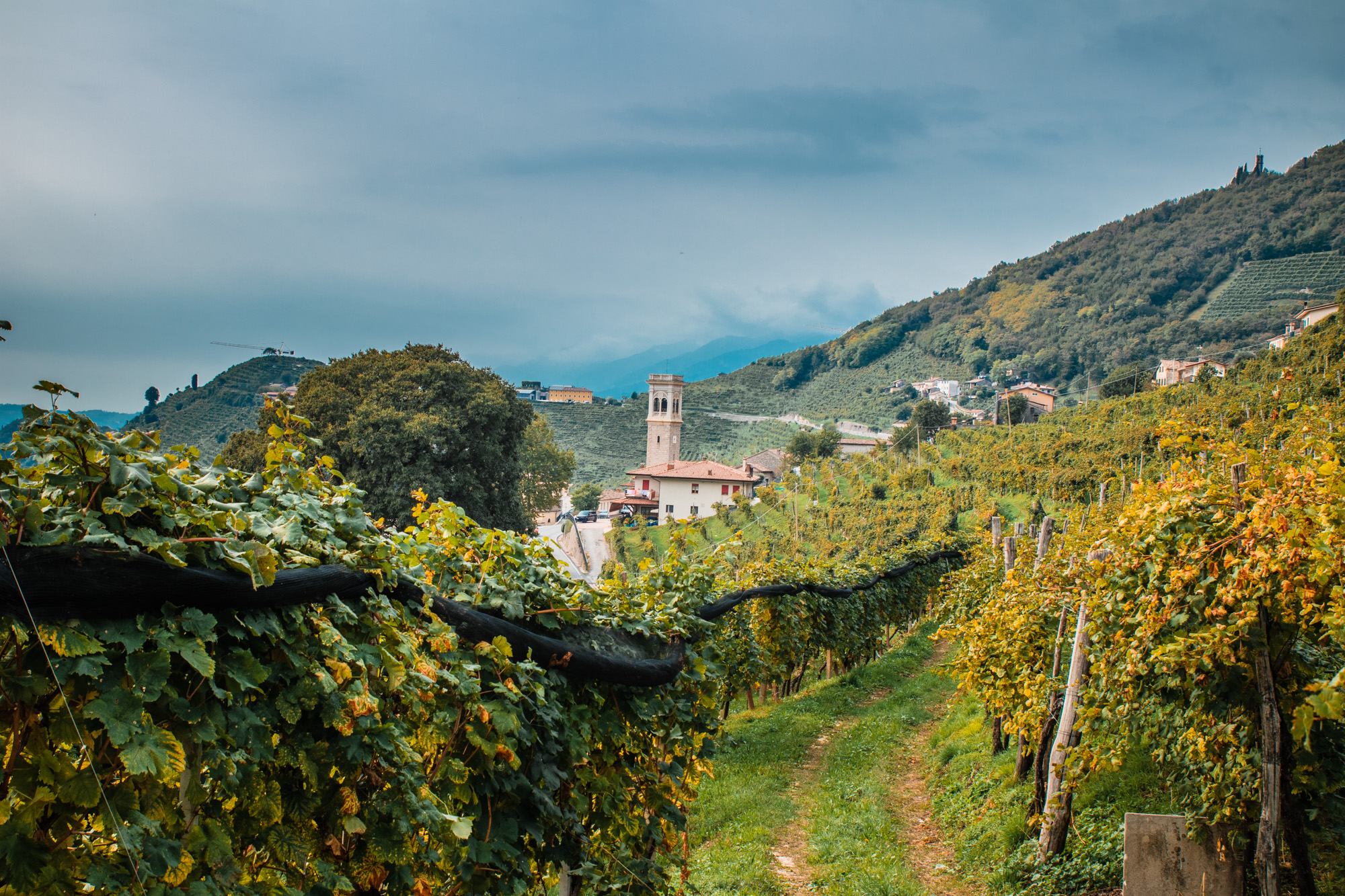 Walking the Prosecco Hills, Trekking the Prosecco Hills, Italy